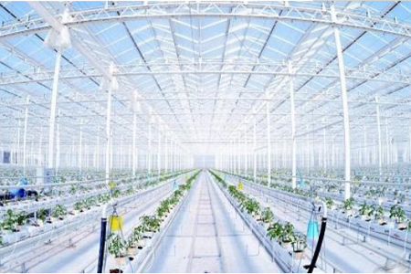 利用物联网技术，补偿传统农业弊端的现代农业，对植株的生长环境需求进行“精确”的定量，对产量进行有效率的制约，对质量更好的把关，农业物联网由感知层、传输层和处理层三部分构成